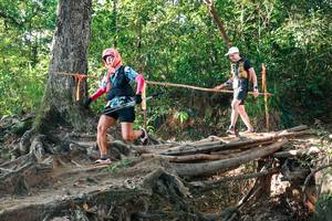 BIB: 
                            <button type="button" onclick="openModal(27551737)" class="btn btn-primary btn-sm float-right btn-popup" data-toggle="modal" data-target=".modal-high-quality">
                        <i class="fas fa-shopping-cart"></i> Add to Cart
                    </button>
                                            <button type="button" onclick="isThisMe(27551737, true)" class="btn btn-success btn-sm float-right btn-popup btn-isme hidden" data-toggle="tooltip" data-placement="bottom" title="นี่คือรูปของคุณใช่ไหม คลิกที่นี่เพื่อเอาเข้าอัลบั้ม">
                        <i class="fas fa-plus"></i> Add to album
                    </button>
                    <button type="button" onclick="isThisMe(27551737, false)" class="btn btn-warning btn-sm float-right btn-popup btn-isnotme hidden">
                        <i class="fas fa-ban"></i> Remove from album
                    </button>